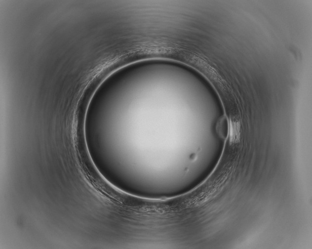 X0000112720627200908201249
