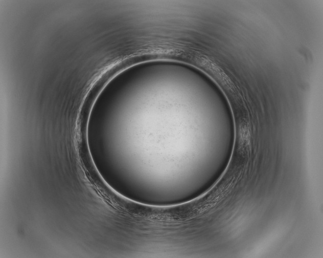 X0000112720628200908201249