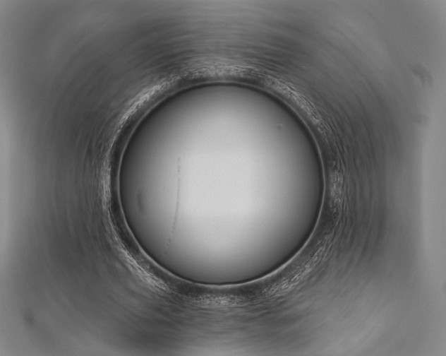 X0000112720629200908201249