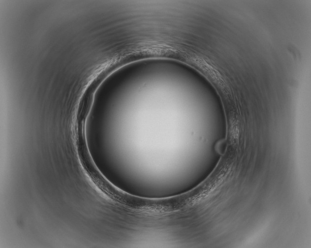 X0000112720630200908201249