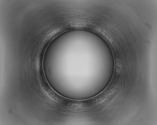 X0000112720631200908201249