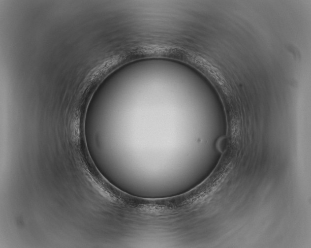 X0000112720633200908201249