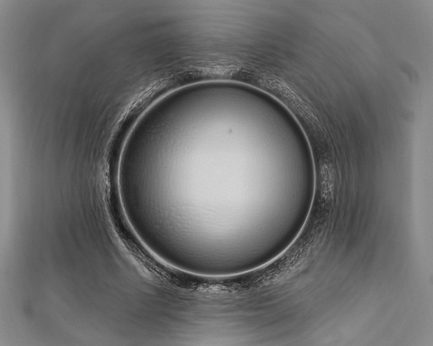 X0000112720634200908201249