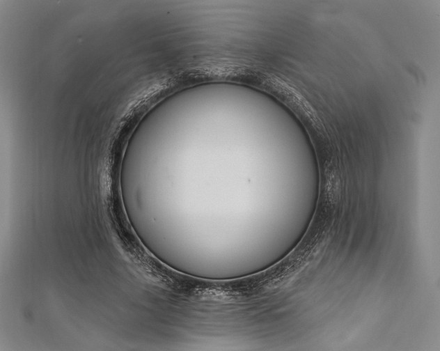 X0000112720635200908201249