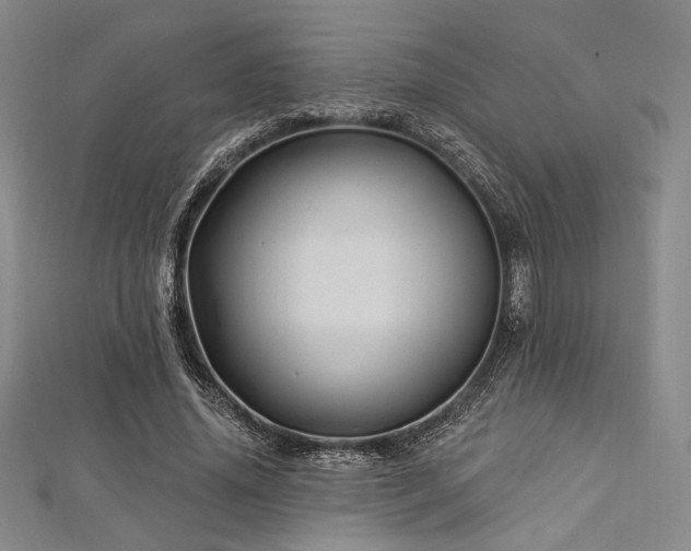 X0000112720636200908201249