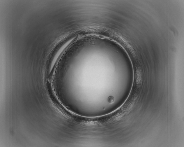 X0000112720637200908201249