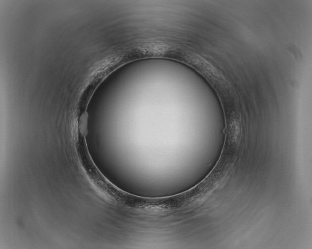 X0000112720638200908201249