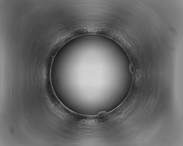X0000112720639200908201249