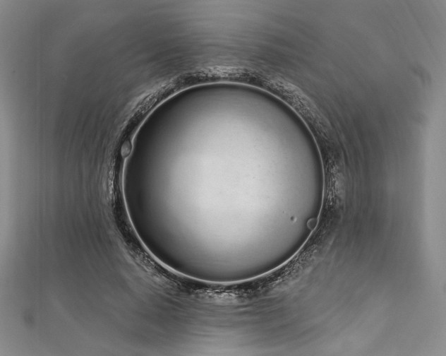 X0000112720640200908201249
