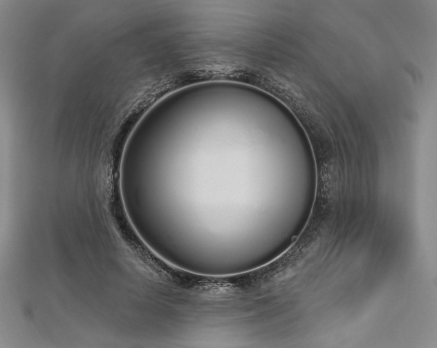 X0000112720642200908201249