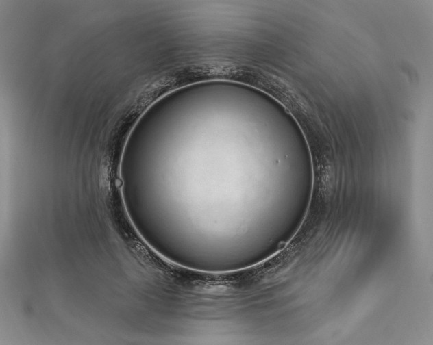 X0000112720643200908201249