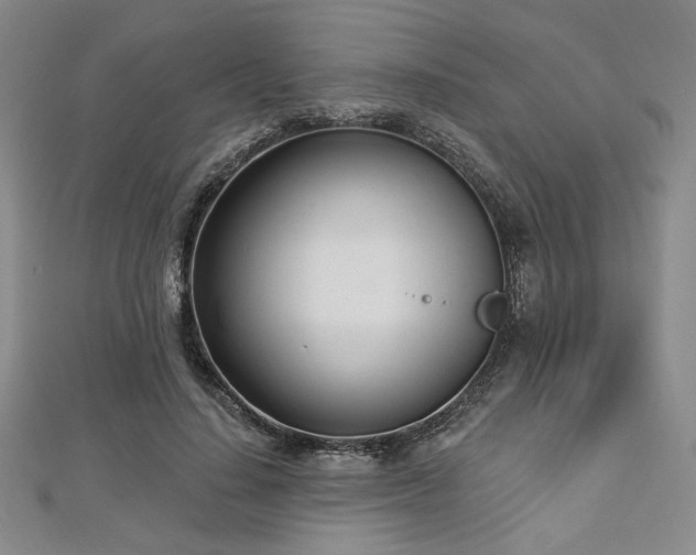 X0000112720644200908201249