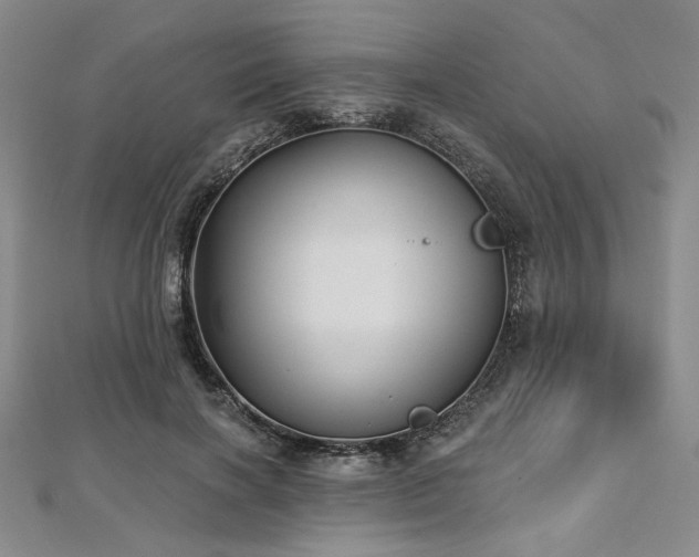 X0000112720646200908201249