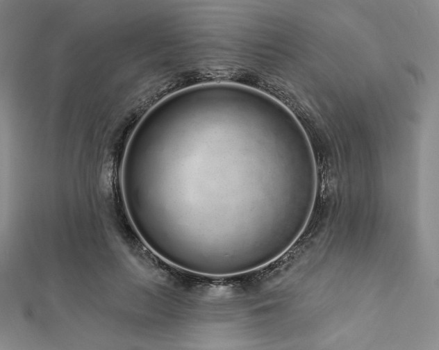 X0000112720647200908201249