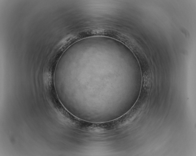 X0000112720648200908201249
