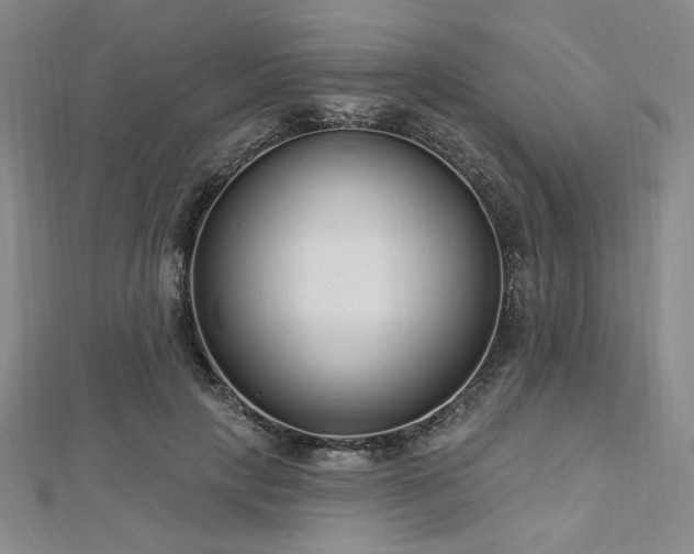 X0000112720649200908201249