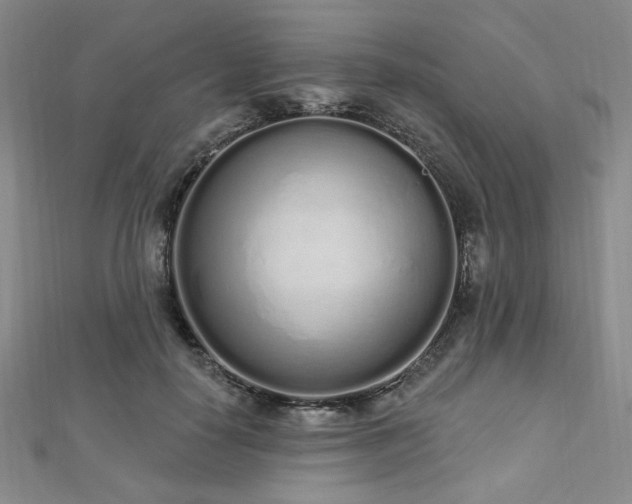 X0000112720650200908201249
