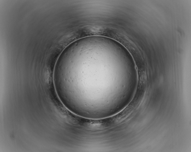 X0000112720651200908201249