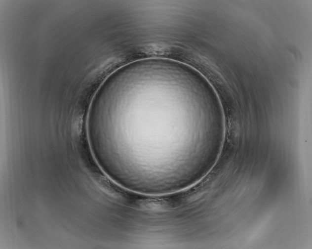 X0000112720652200908201249