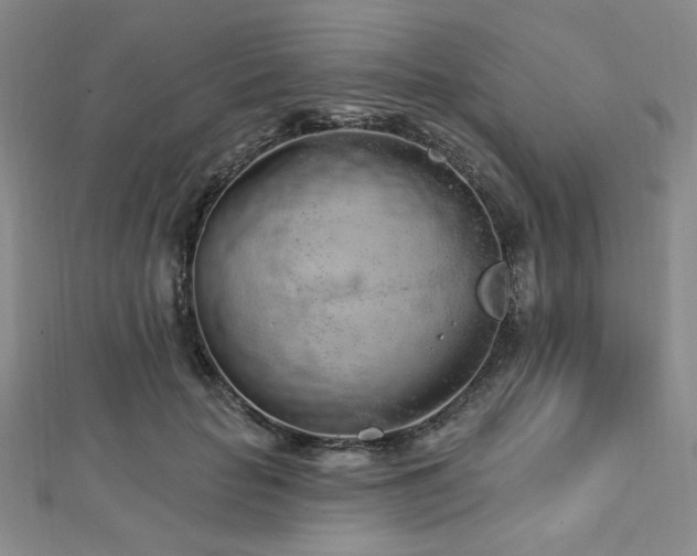 X0000112720653200908201249