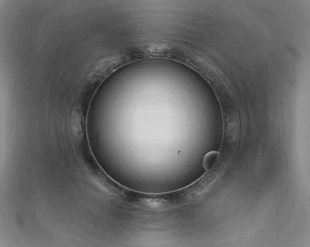 X0000112720654200908201249
