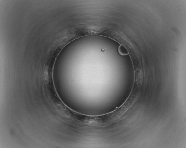 X0000112720655200908201249
