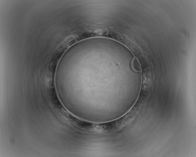 X0000112720656200908201249