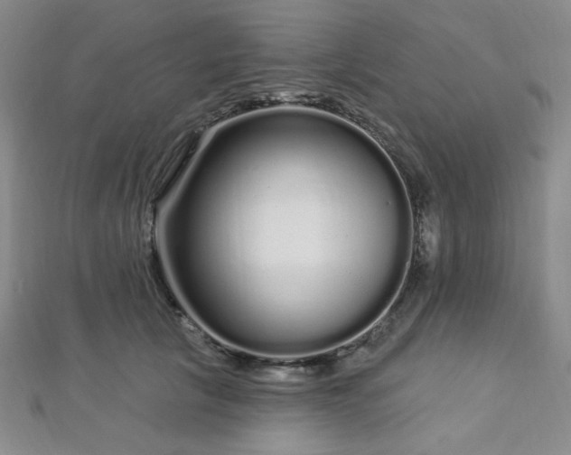 X0000112720657200908201249