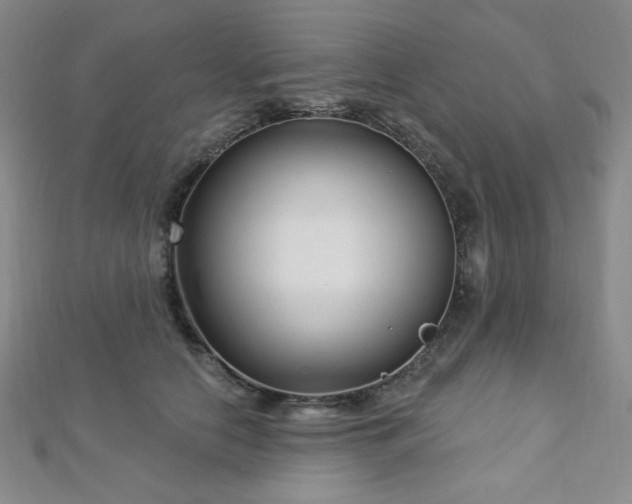 X0000112720658200908201249