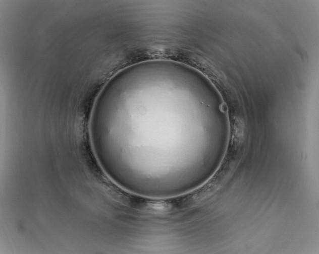 X0000112720659200908201249