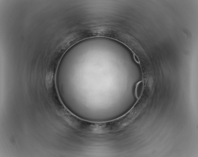 X0000112720660200908201249