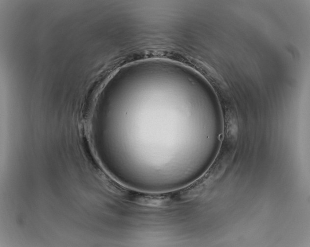 X0000112720661200908201249