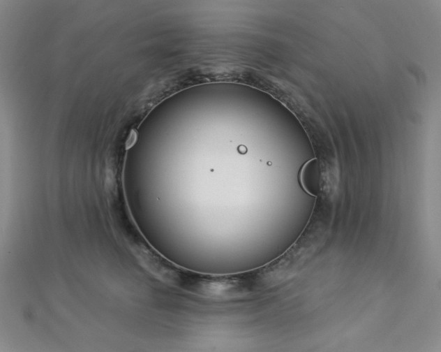 X0000112720662200908201249