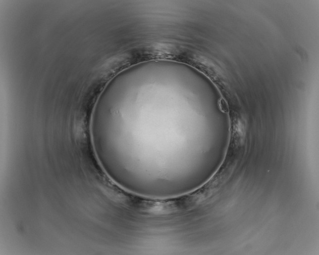 X0000112720663200908201249