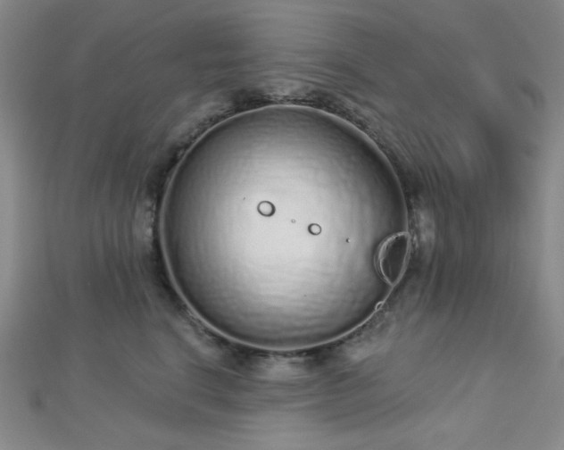 X0000112720664200908201249