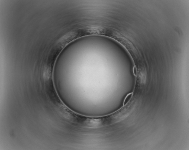 X0000112720665200908201249