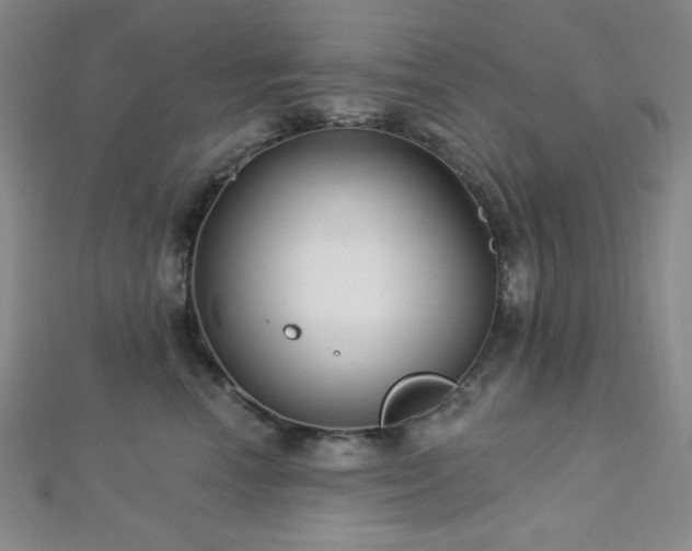 X0000112720666200908201249