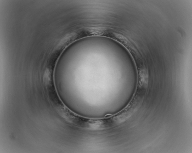 X0000112720667200908201249