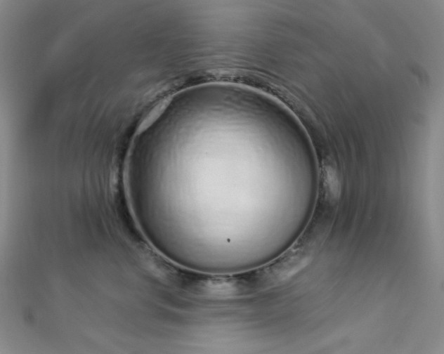 X0000112720668200908201249