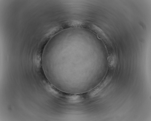 X0000112720669200908201249