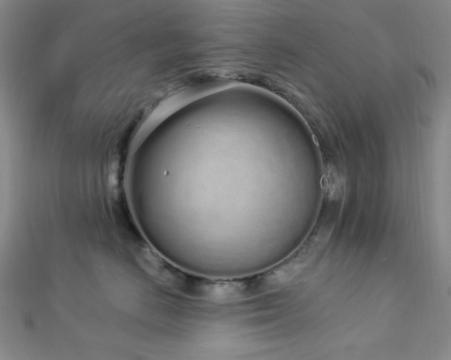 X0000112720670200908201249