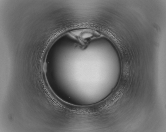 X0000112720673200908201248