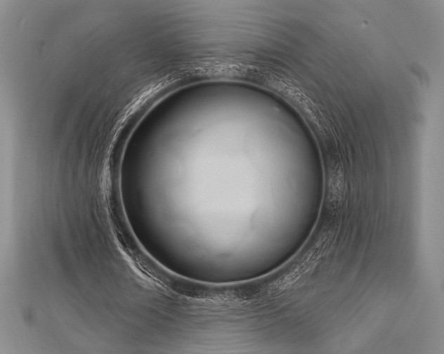 X0000112720674200908201248