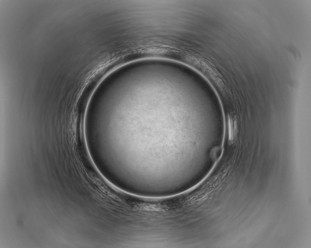 X0000112720675200908201248