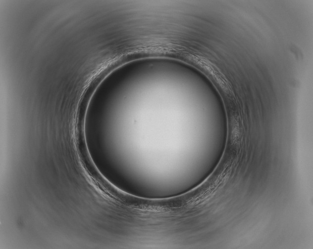 X0000112720677200908201248