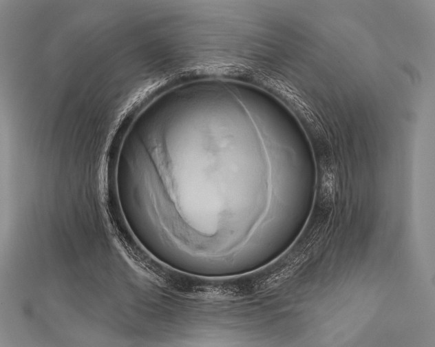 X0000112720678200908201248