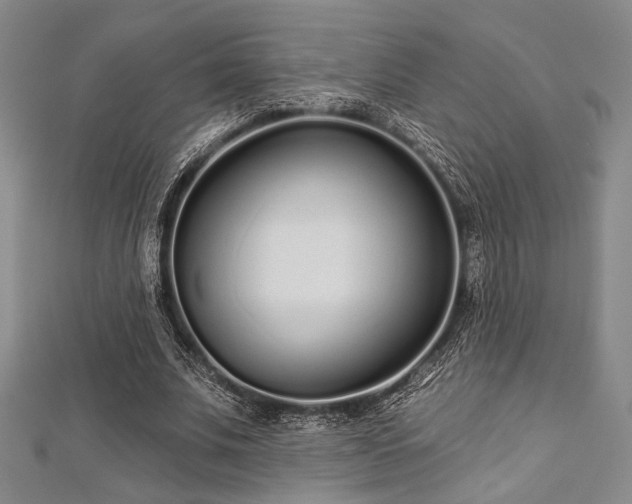 X0000112720679200908201248
