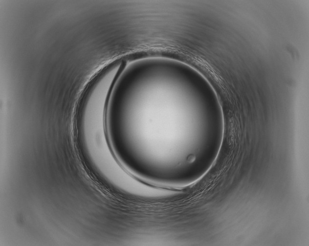 X0000112720680200908201248