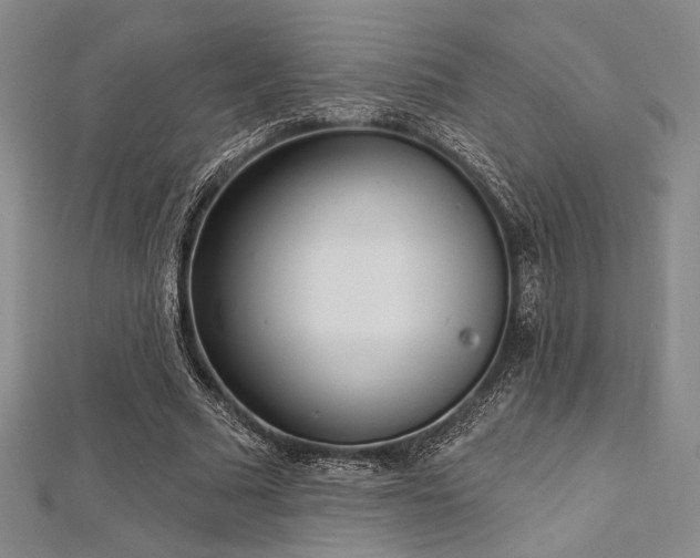 X0000112720681200908201248