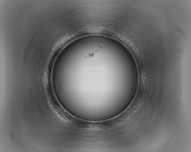 X0000112720682200908201248